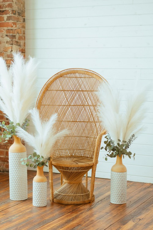 Elegant Peacock Chair